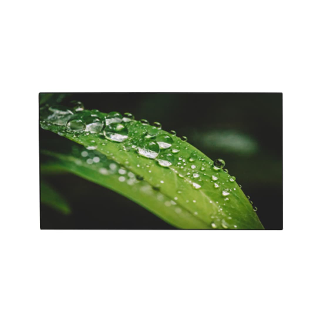 Видеостенный дисплей, Dahua, DHI-LS550UDM-UF, 55"