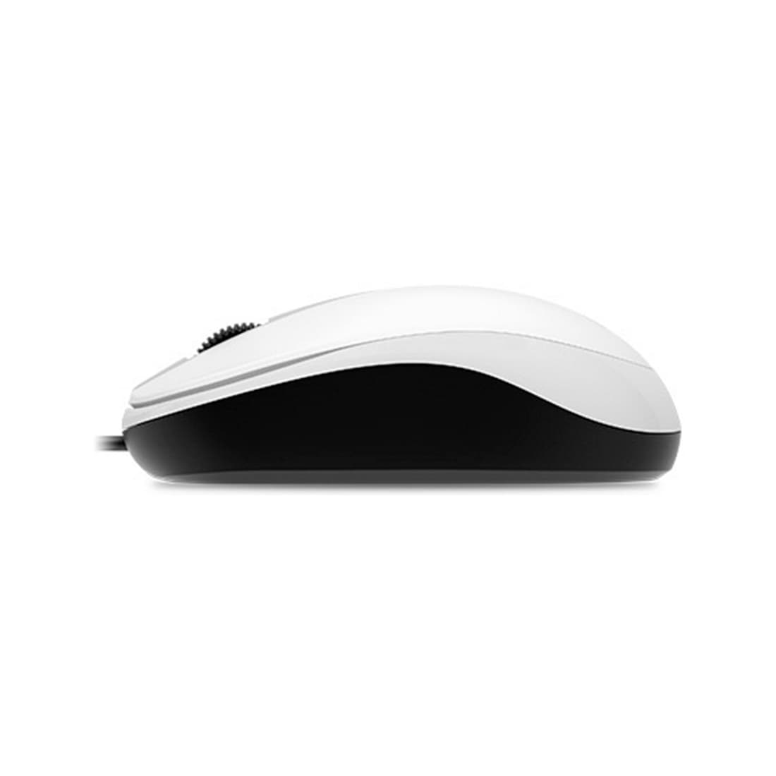 Компьютерная мышь, Genius, DX-120, Оптическая, 1000dpi, USB, Длина кабеля 1,5 метра, Белый