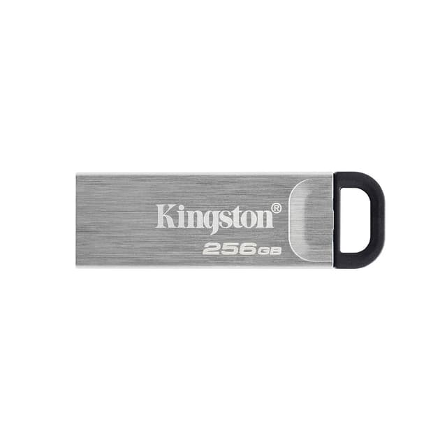 USB-накопитель, Kingston, DTKN/256GB, 256GB, USB 3.2, Серебристый